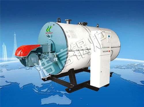 燃油熱水鍋爐供應 湖北燃油熱水鍋爐 浩信鍋爐服務好